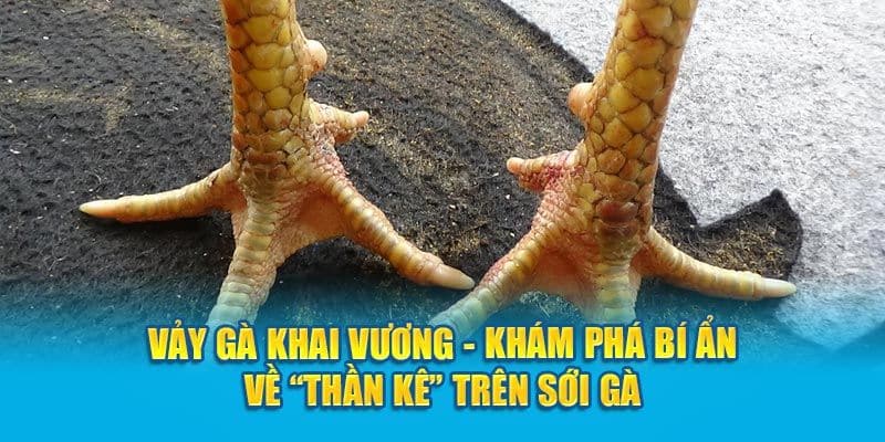 Mẹo chăm sóc gà chiến có vảy khai vương
